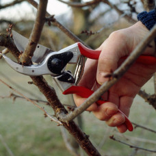 Садовые ножницы Stihl Felco F2