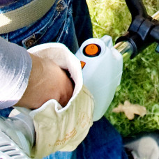 Мотокоса Stihl FS 50 C-E