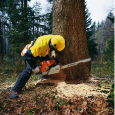 Бензопила Stihl MS 440 шина 50 см