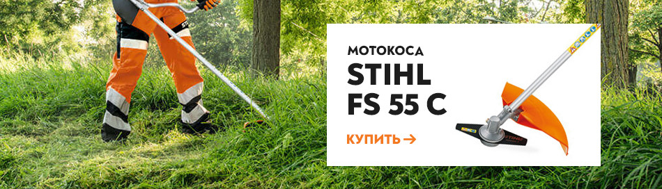 Stihl FS 55 C